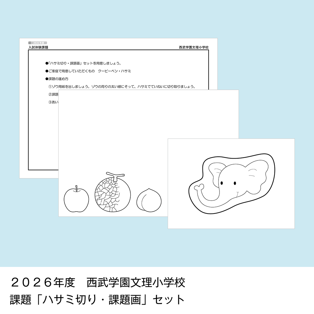 そっくり問題集 46 西武学園文理小学校・星野学園小学校（2027年度入試準備版）