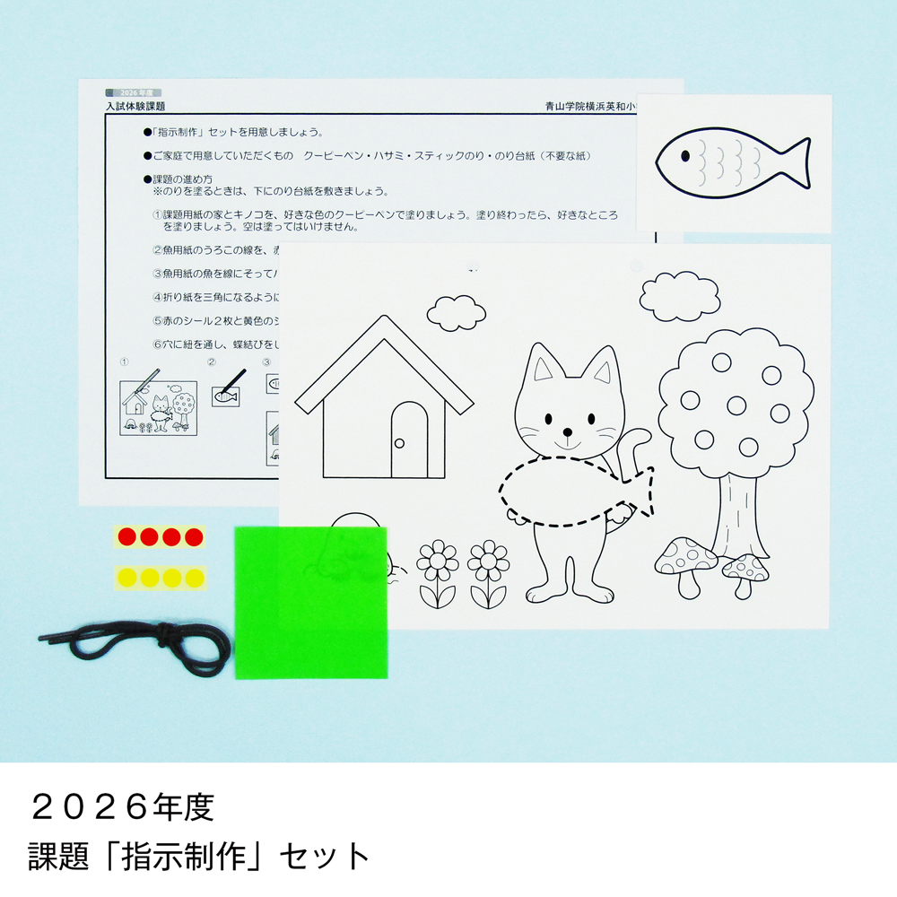 そっくり問題集 29 青山学院横浜英和小学校（2027年度入試準備版）