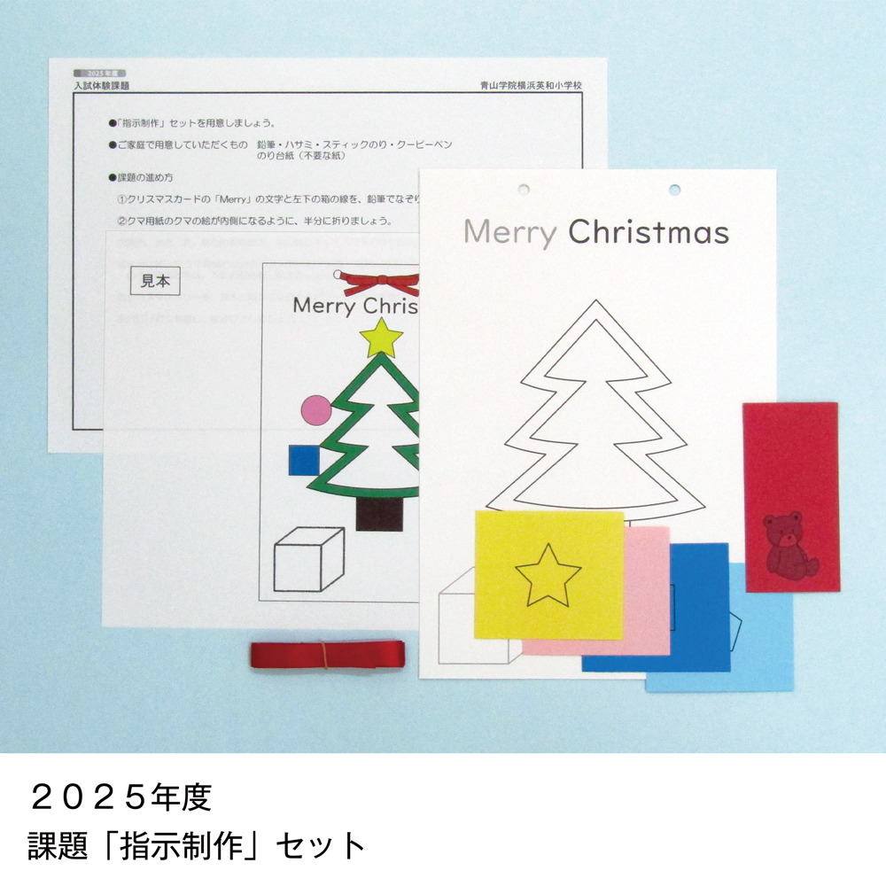 そっくり問題集 29 青山学院横浜英和小学校（2027年度入試準備版）