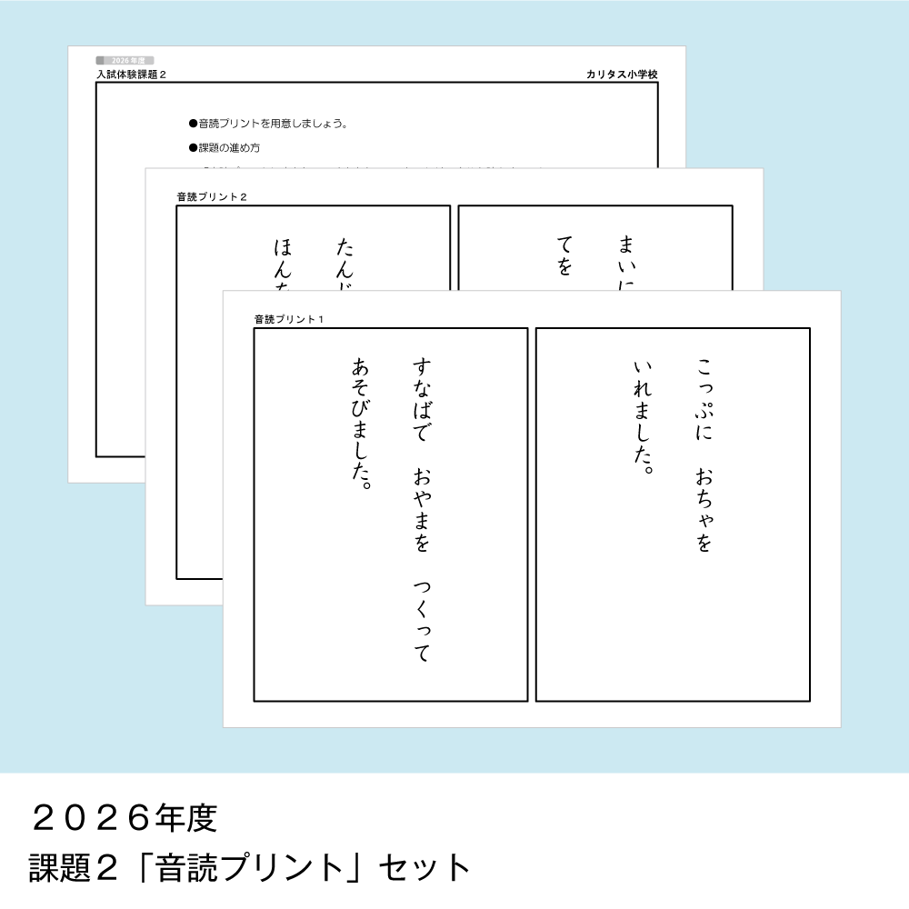 そっくり問題集 31 カリタス小学校（2027年度入試準備版）