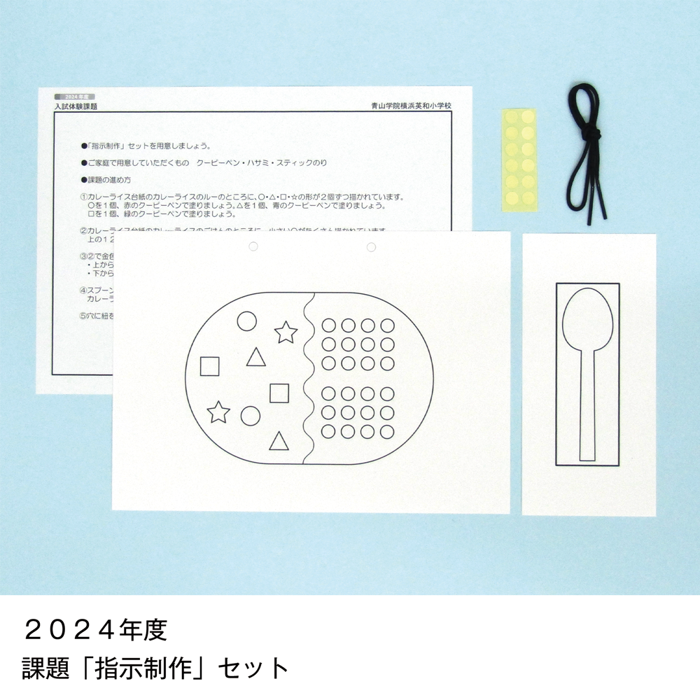 そっくり問題集 28 青山学院横浜英和小学校（2026年度入試準備版）