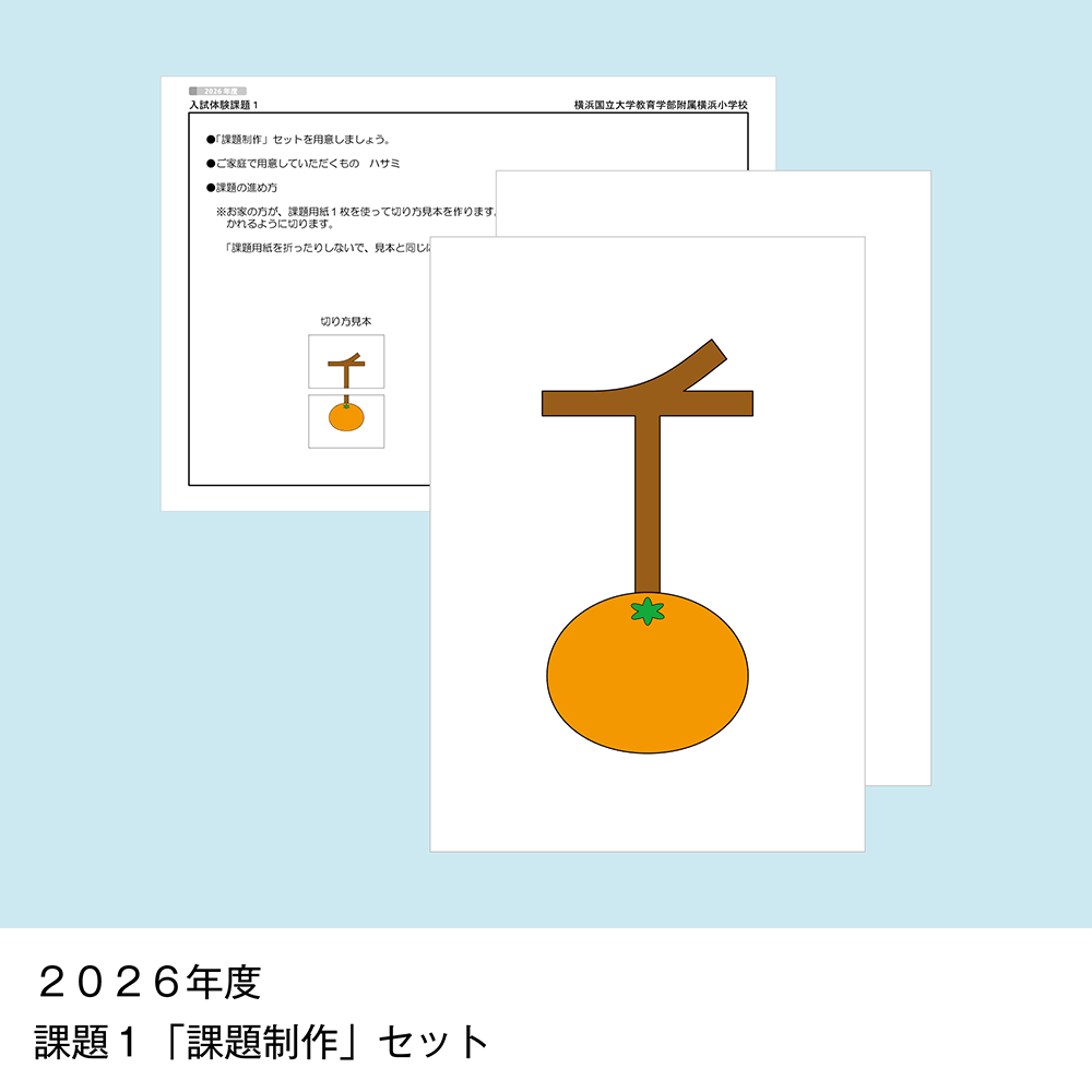 そっくり問題集 43 横浜国立大学教育学部附属横浜小学校（2027年度入試準備版）
