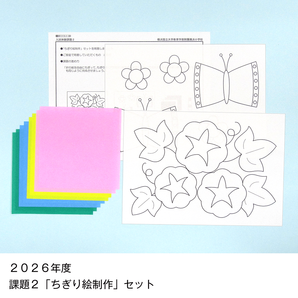 そっくり問題集 43 横浜国立大学教育学部附属横浜小学校（2027年度入試準備版）