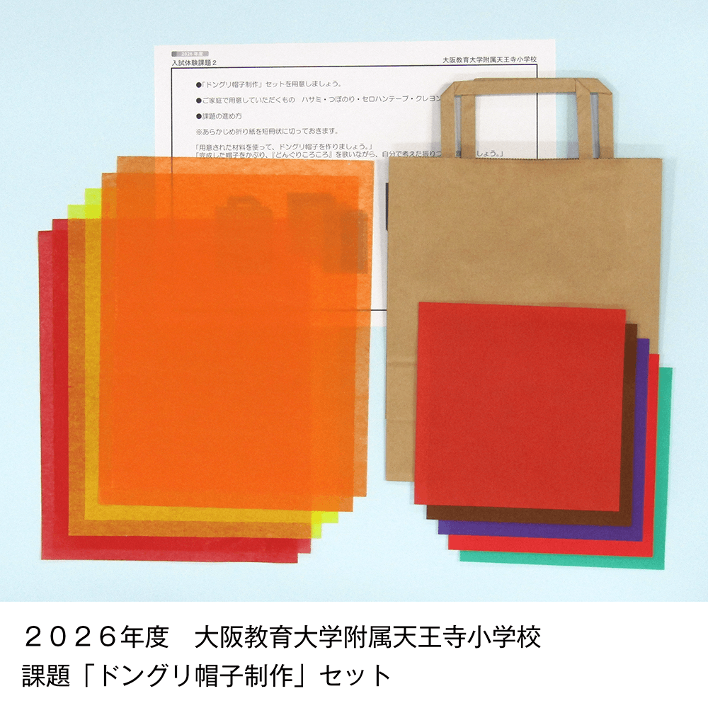 そっくり問題集 50 大阪教育大学附属天王寺・平野小学校（2027年度入試準備版）