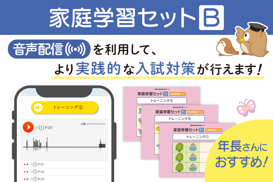年長さんにおすすめ！家庭学習セットB