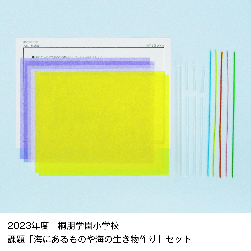 22 そっくり問題集 桐朋小学校・桐朋学園小学校