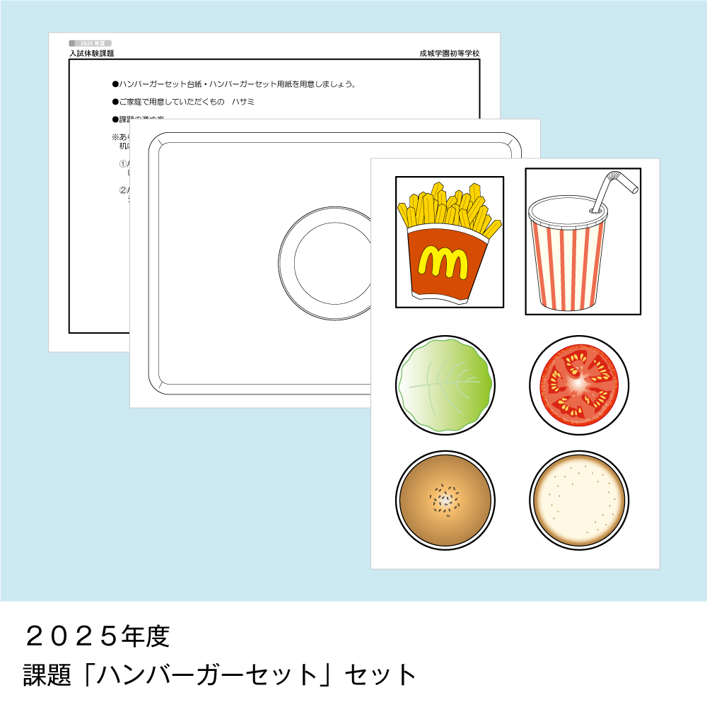 そっくり問題集 11 成城学園初等学校（2027年度入試準備版）