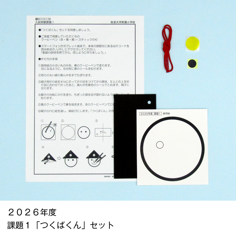 そっくり問題集 13 筑波大学附属小学校（2027年度入試準備版）