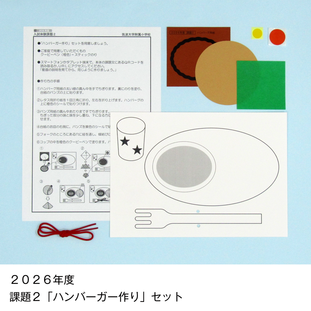 そっくり問題集 13 筑波大学附属小学校（2027年度入試準備版）