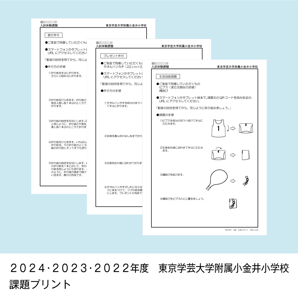 そっくり問題集 15 東京学芸大学附属小金井小学校・大泉小学校（2027年度入試準備版）