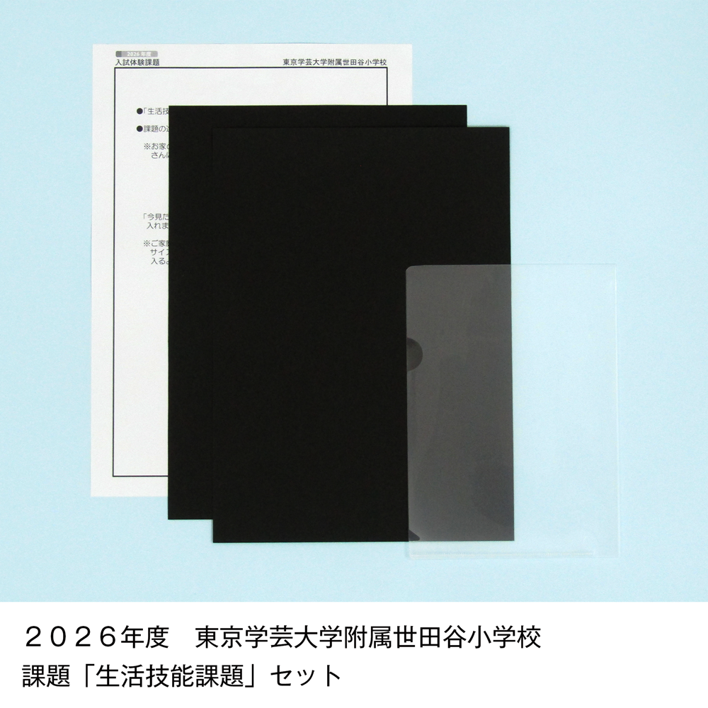 そっくり問題集 16 東京学芸大学附属世田谷小学校・竹早小学校（2027年度入試準備版）