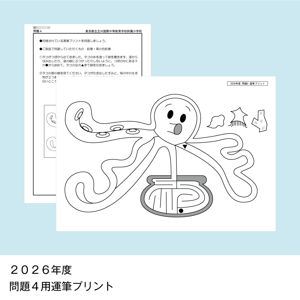 そっくり問題集 19 東京都立立川国際中等教育学校附属小学校（2027年度入試準備版）