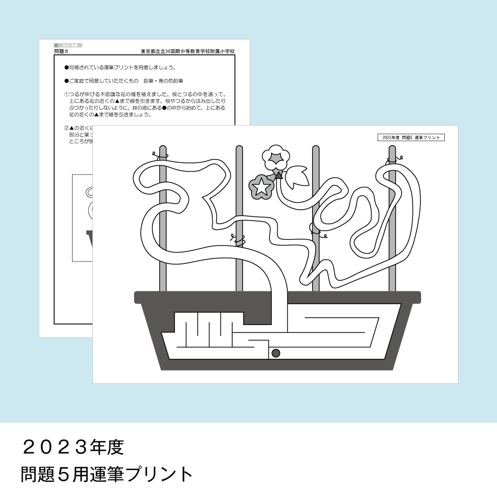 そっくり問題集 19 東京都立立川国際中等教育学校附属小学校（2027年度入試準備版）