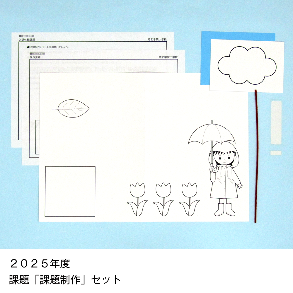 そっくり問題集 48 昭和学院小学校（2027年度入試準備版）