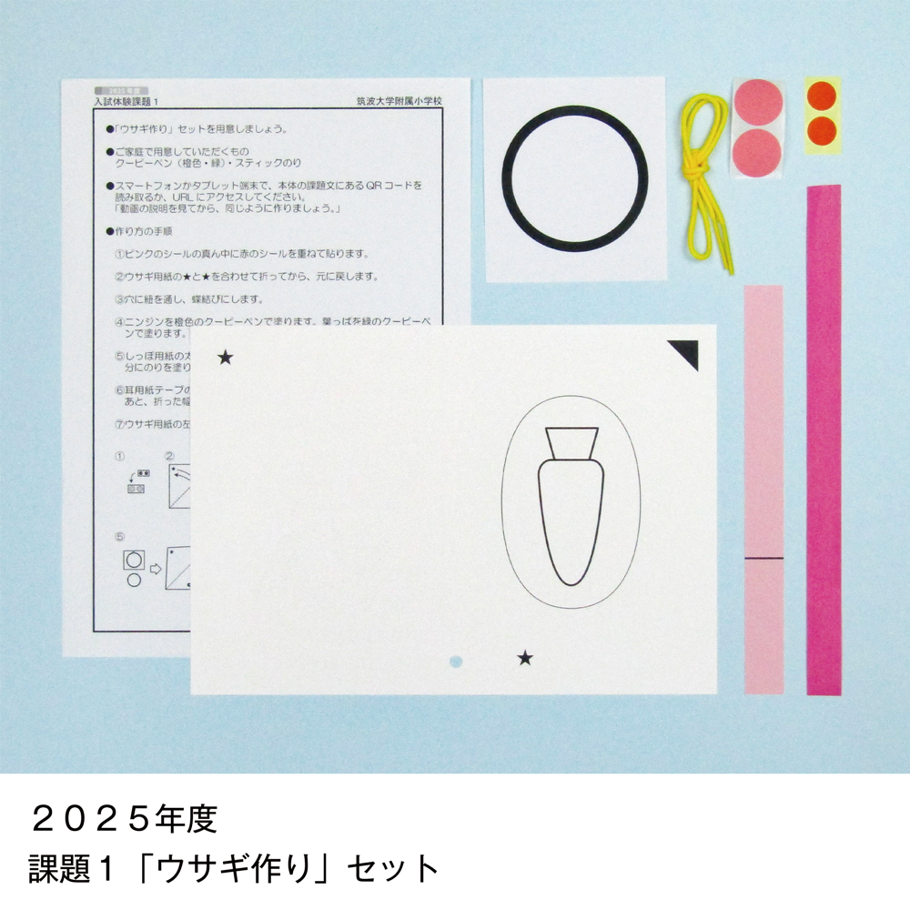 そっくり問題集 14 筑波大学附属小学校（2026年度入試準備版）