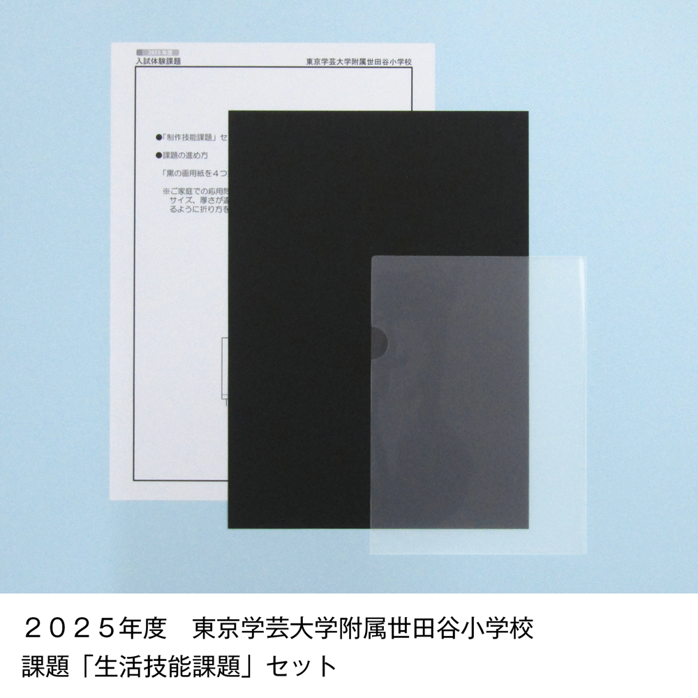 そっくり問題集 17 東京学芸大学附属世田谷小学校・竹早小学校（2026年度入試準備版）