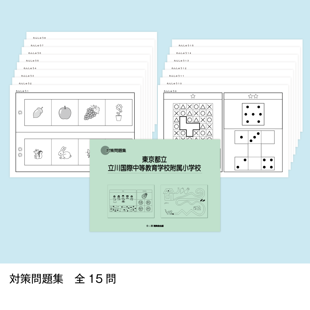 13 そっくり問題集 東京都立立川国際中等教育学校附属小学校