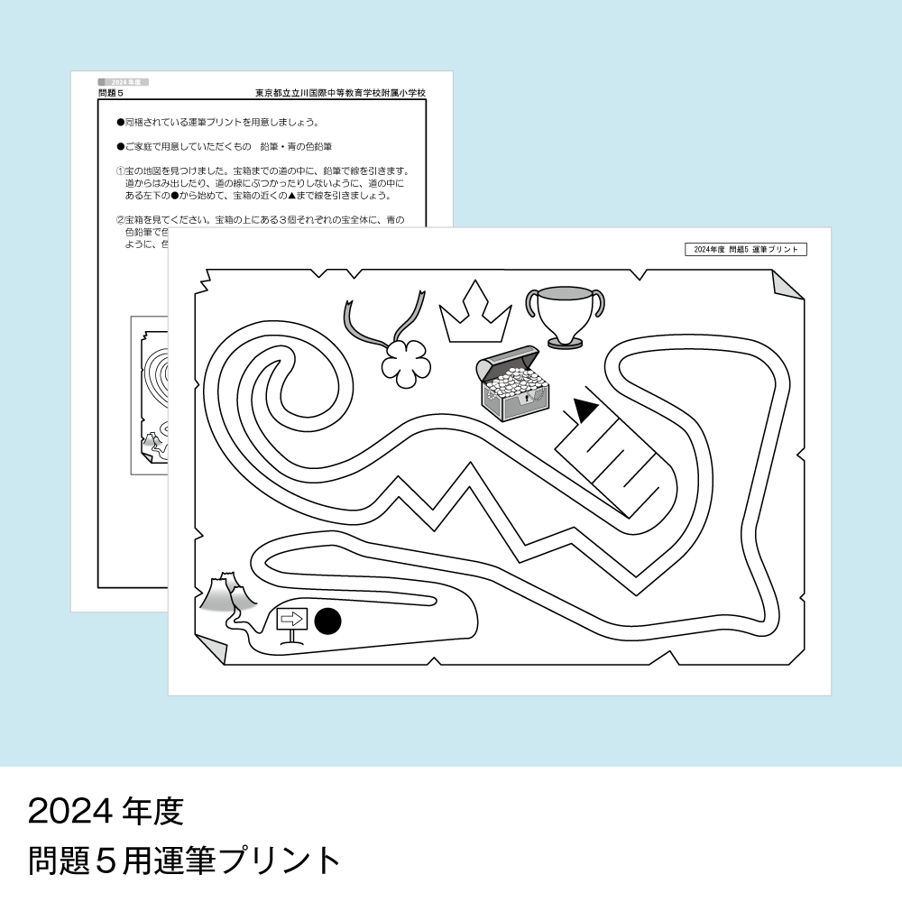 13 そっくり問題集 東京都立立川国際中等教育学校附属小学校