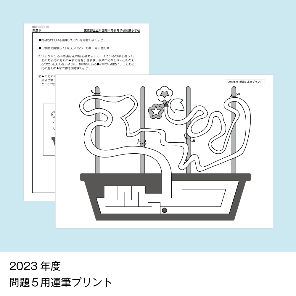 13 そっくり問題集 東京都立立川国際中等教育学校附属小学校