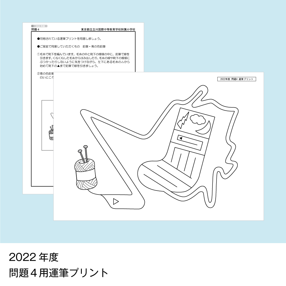 13 そっくり問題集 東京都立立川国際中等教育学校附属小学校