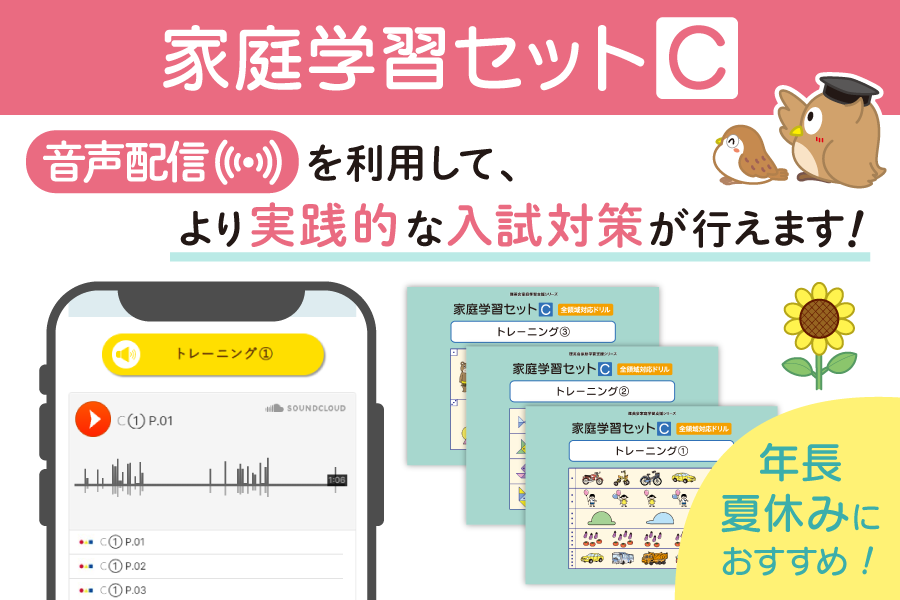 年長夏休みにおすすめ！家庭学習セットC