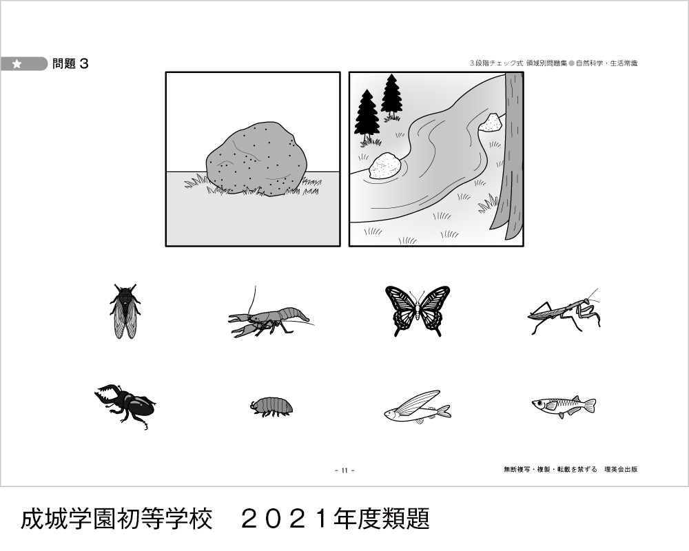 2019-2021年度 3段階チェック式 領域別問題集（自然科学・生活常識）