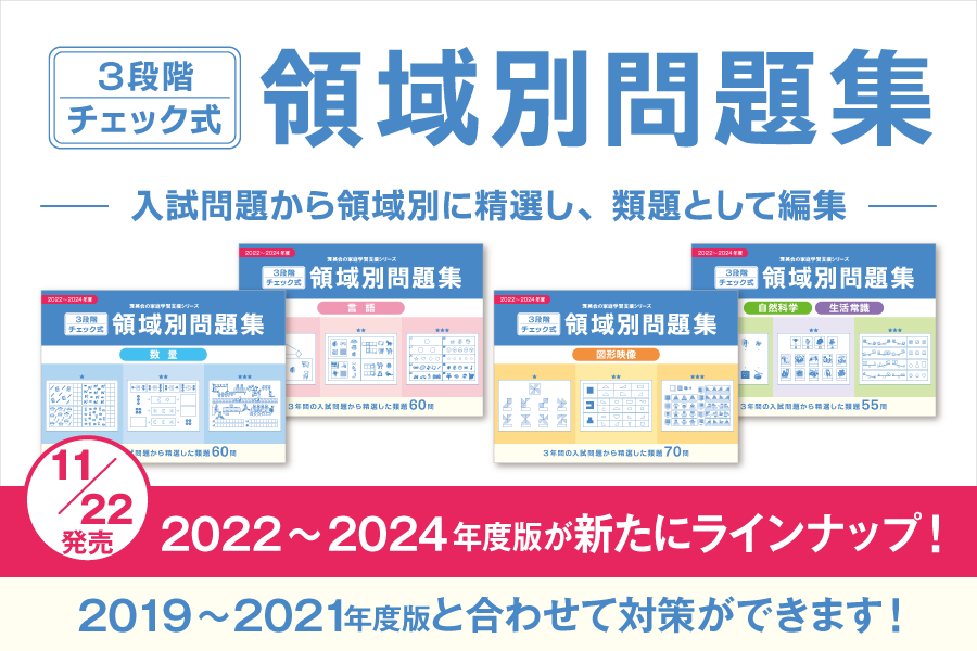 【3段階チェック式 領域別問題集 2022年～2024年度版】発売のご案内